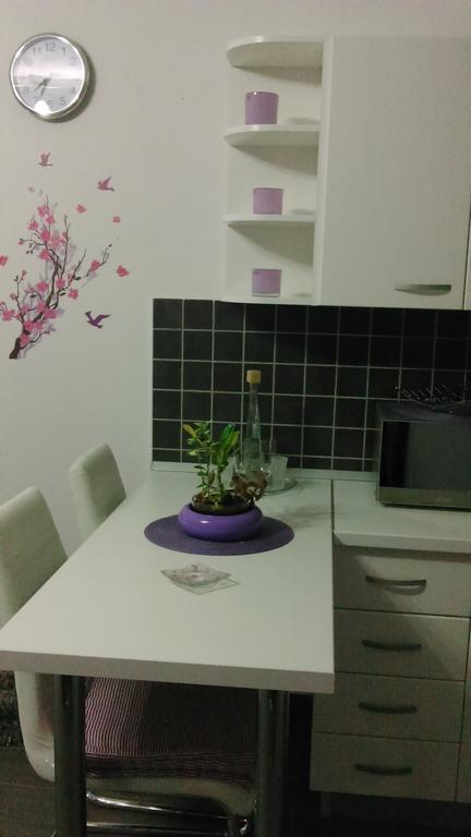 Apartment Poropat 포레치 객실 사진